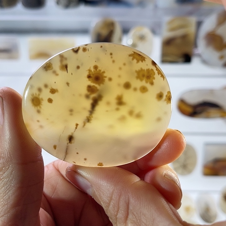 【闪购商品】玛瑙/玉髓珠宝半成品未镶嵌