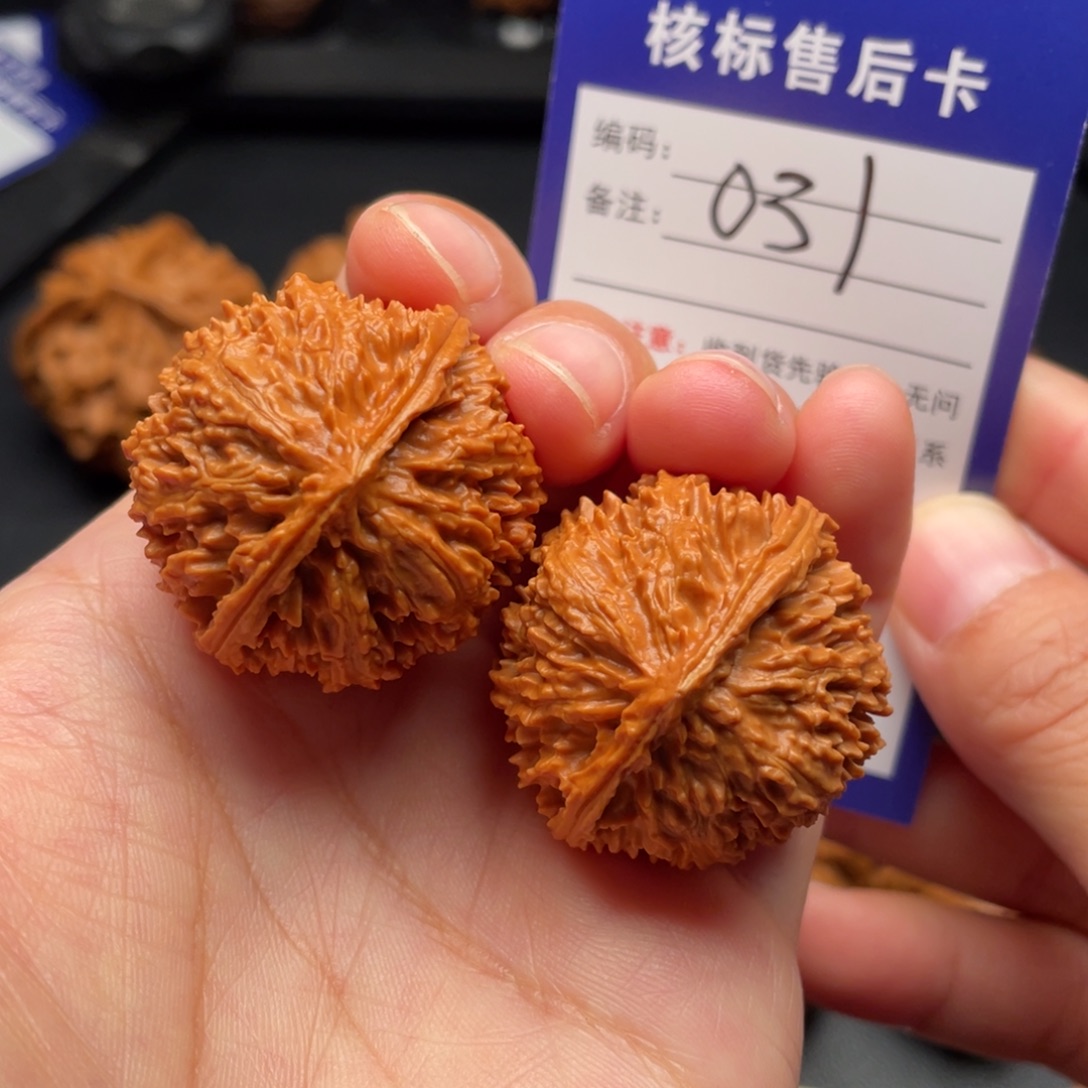把件文玩核桃野生满天星33全品031号