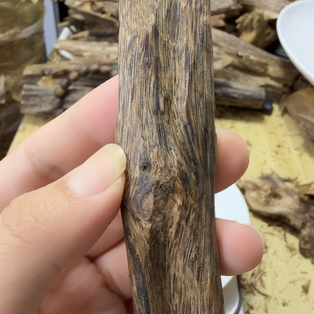 木绿奇楠虫漏14克