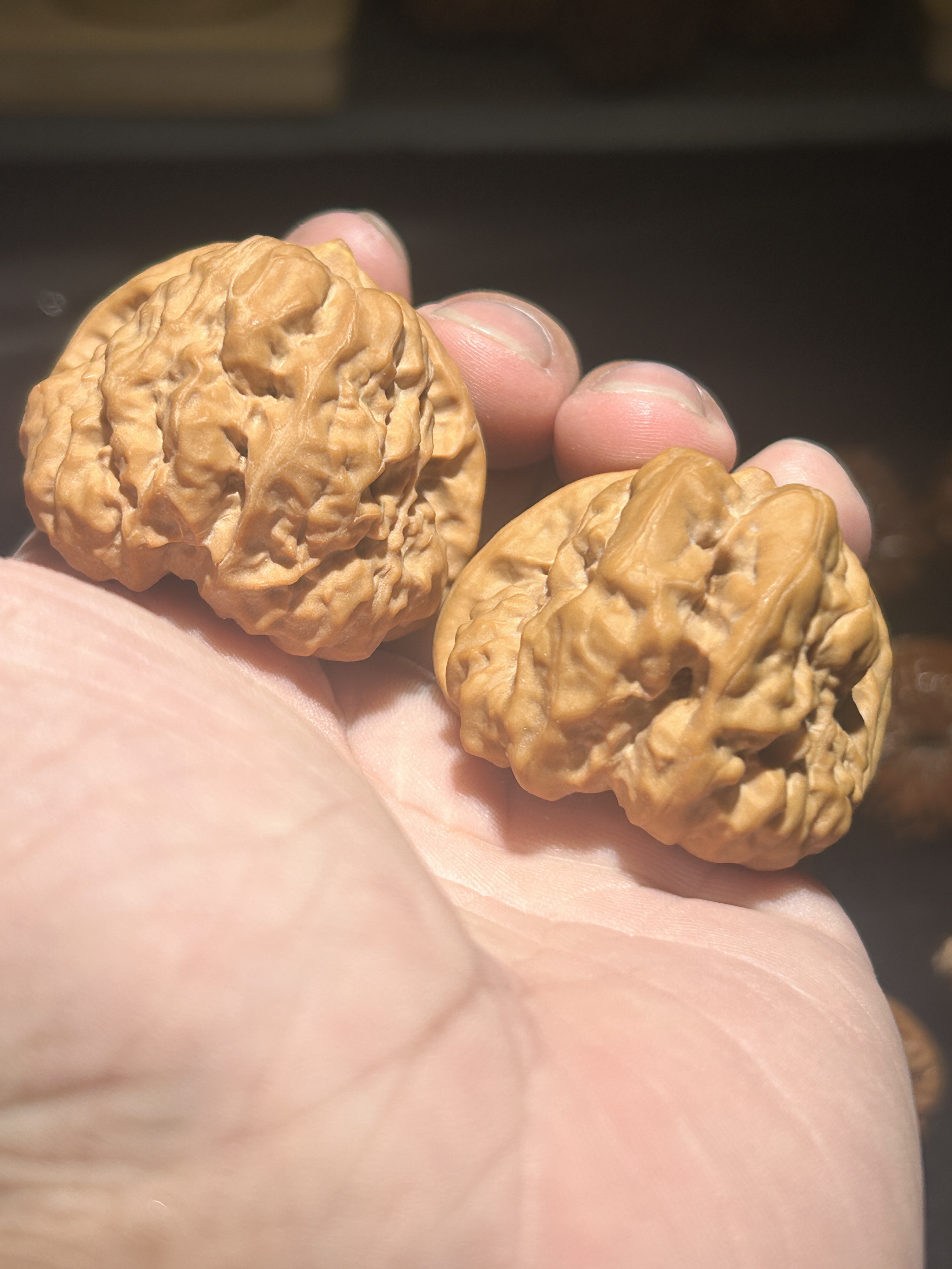 全品红皮蛙，蛤蟆头，边42肚44高35克重44