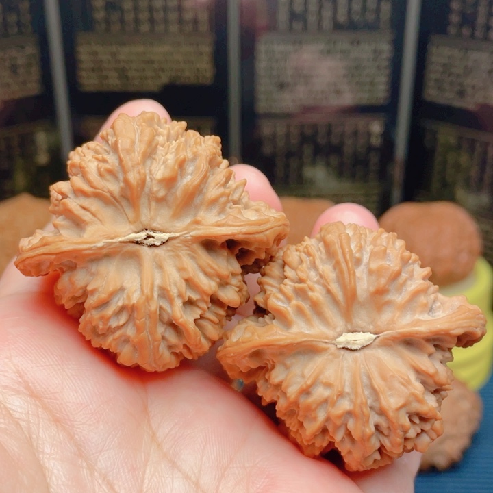 文玩核桃吊坠44全品凹底满天星