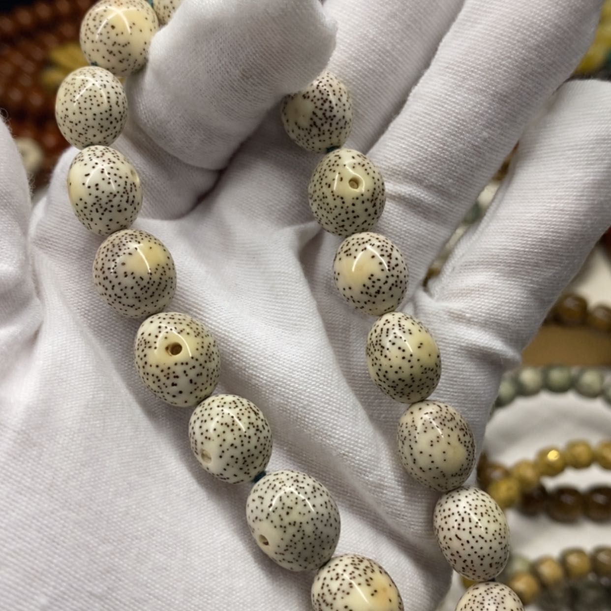 【闪购商品】星月菩提吊坠鸽子蛋