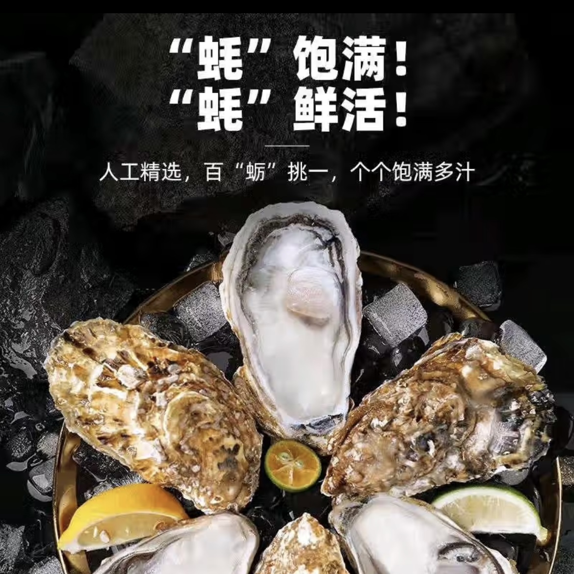 鲜活生蚝金标生蚝1KG约2个