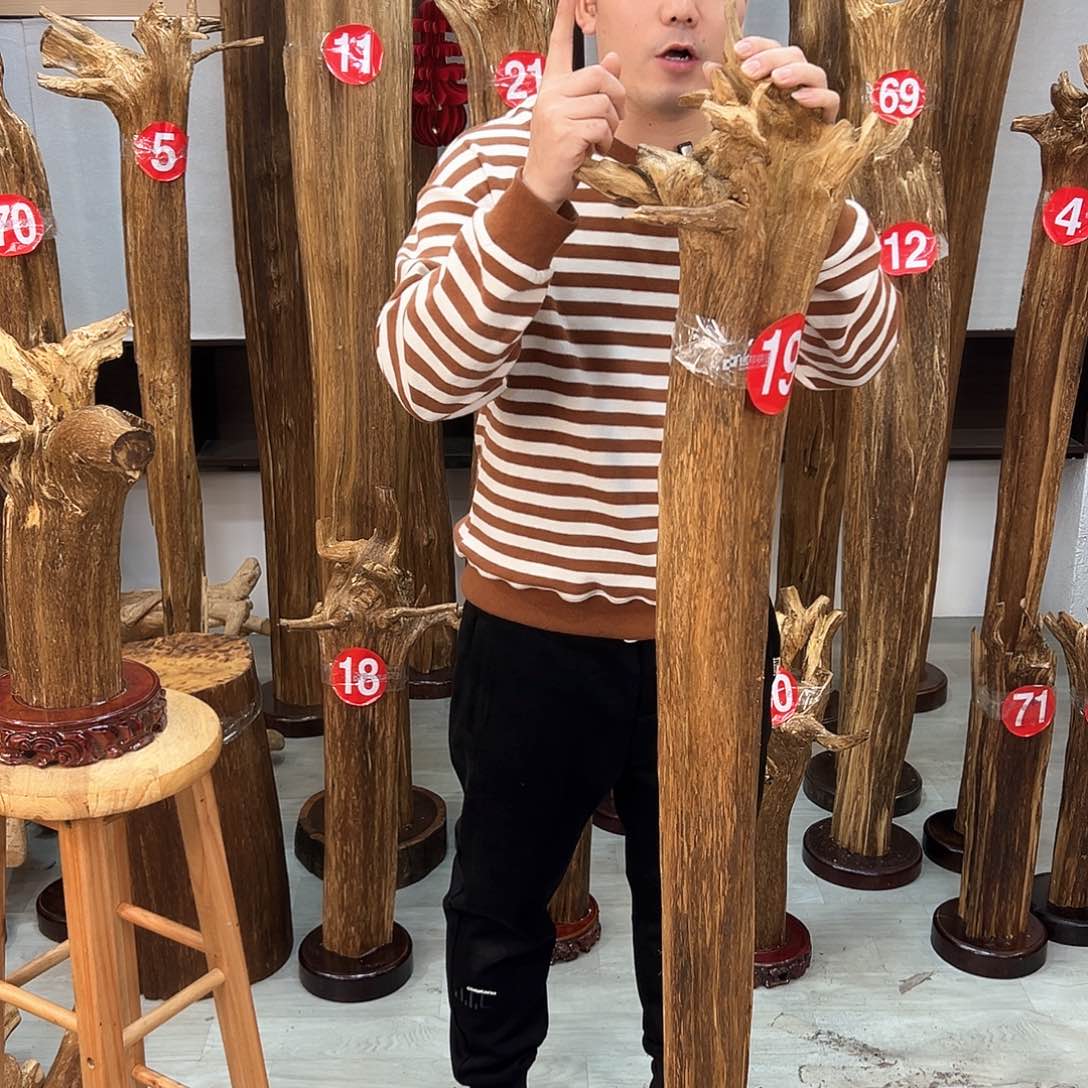 沉香摆件海南沉香摆件