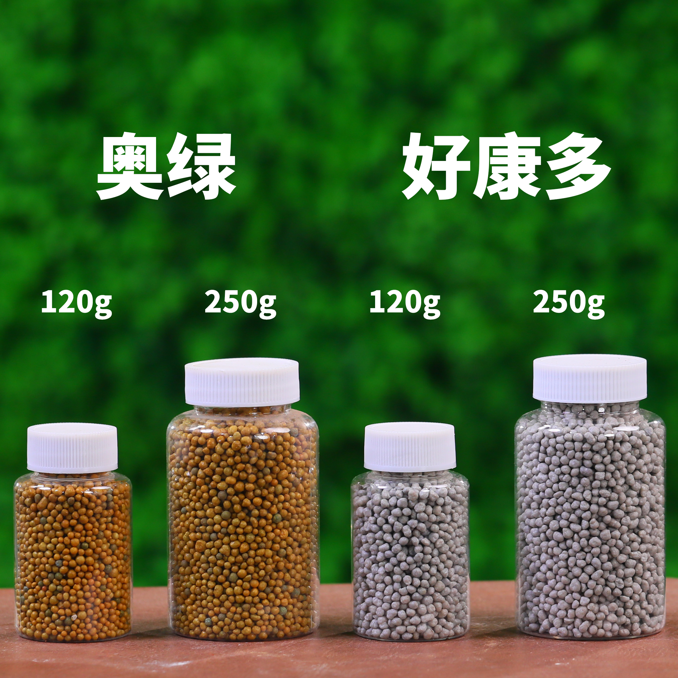 好康多奥绿兰花君子兰长效颗粒缓释肥控释肥全能型促进生长