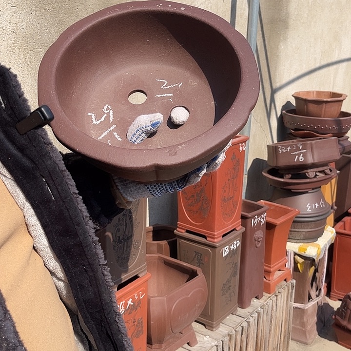 紫砂花盆紫砂花等