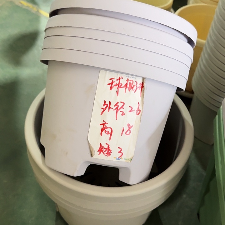 球根26口径6个无托灰白