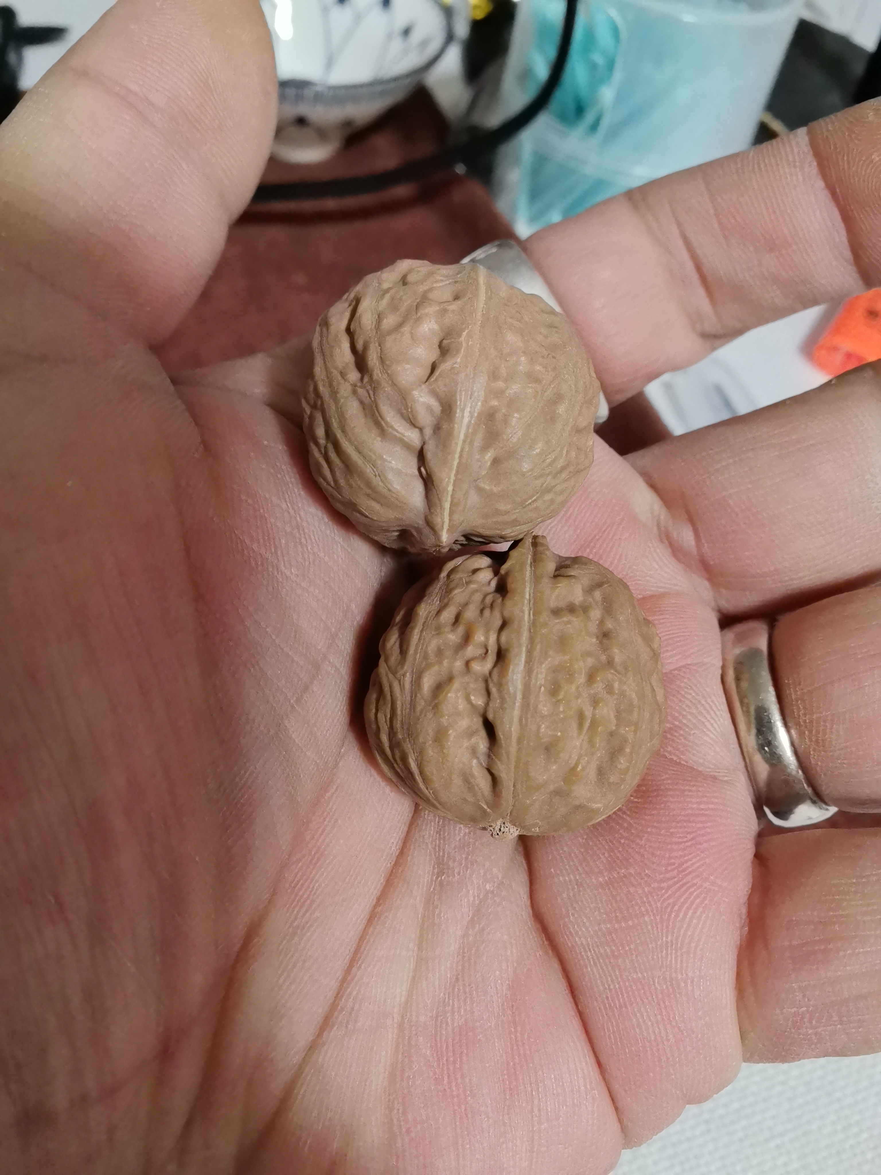 野生核桃小秋子手捻