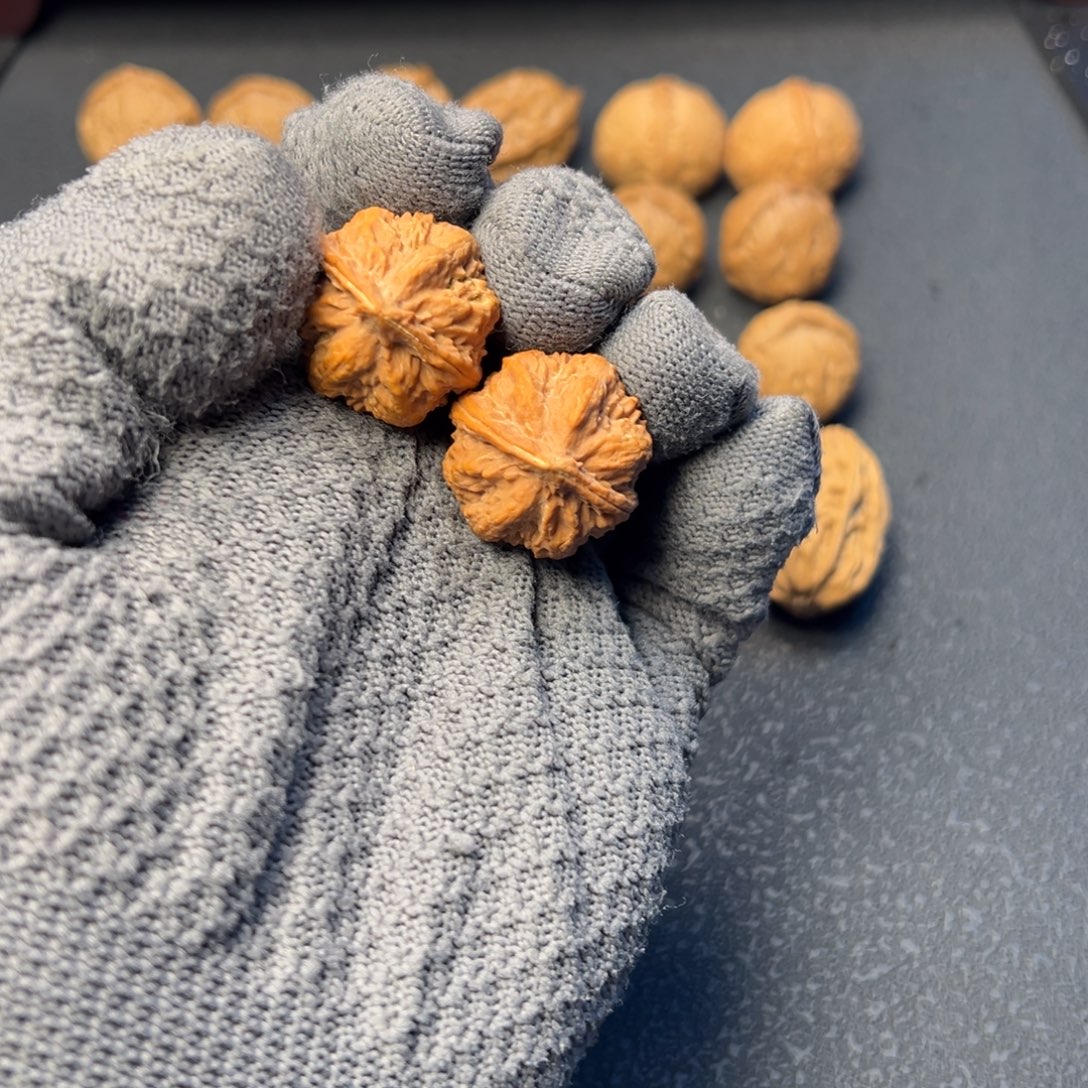 文玩核桃把件小霸王龙