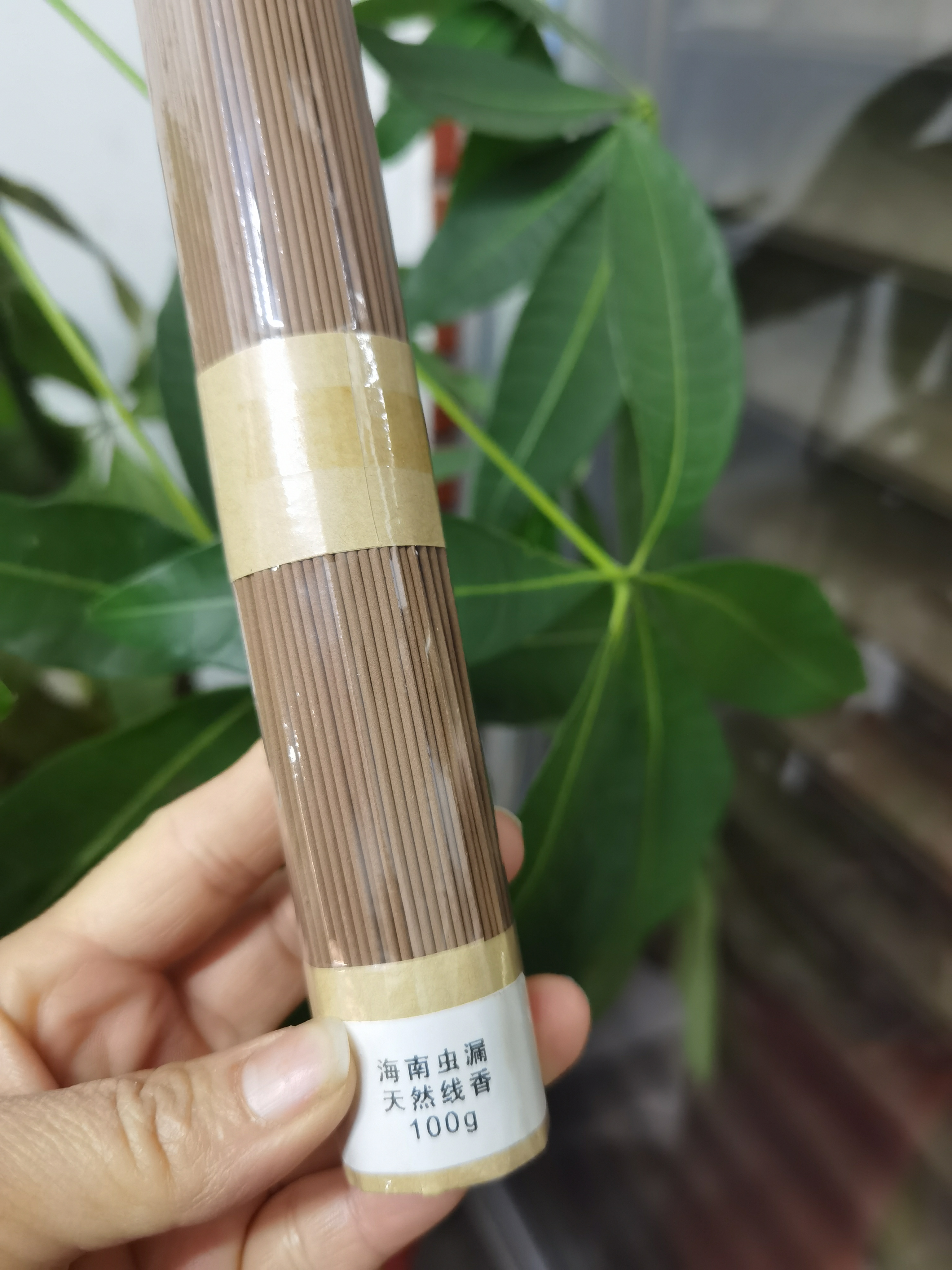 天然海南虫漏线香100克装