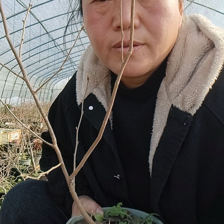 实***修无花朵122575588888