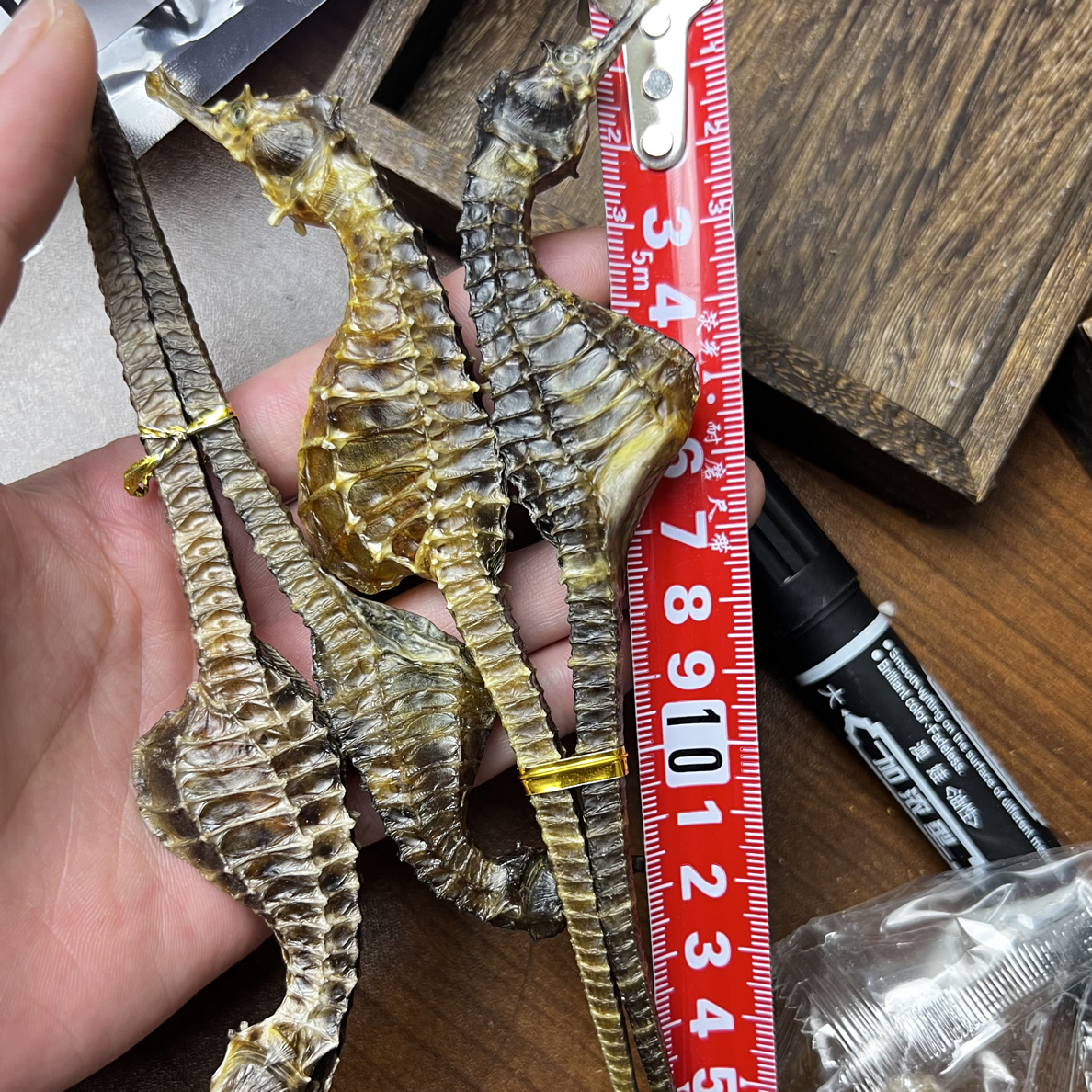 【四大金刚】泡酒海产干货精选优质自然晒干海麻雀海马配对海龙鹿茸