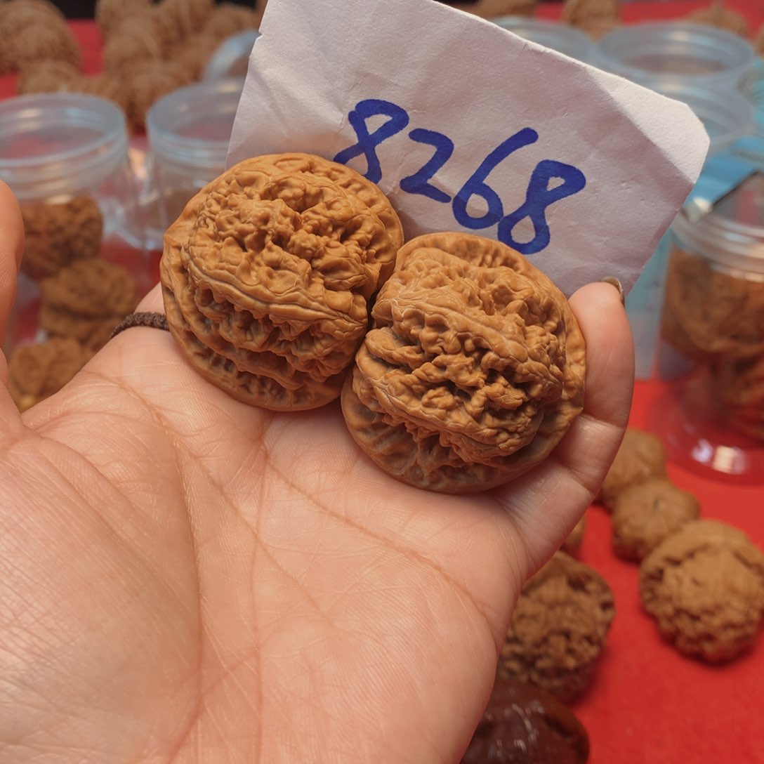 核桃手串/手链大粗筋43尺有修