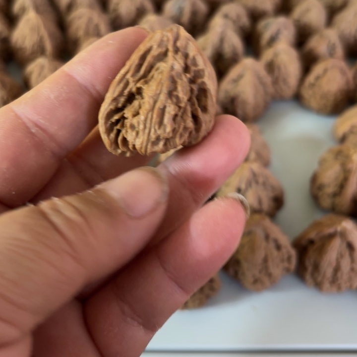 武***一大叶紫檀（黑酸枝木类）