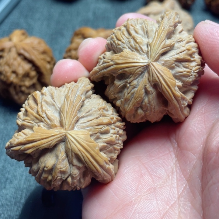 工艺三棱白狮子三棱