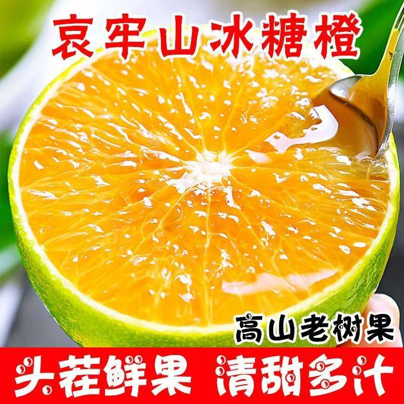 现摘头茬云南哀牢山冰糖橙新鲜甜橙子高山绿皮青皮橙子手剥甜Q