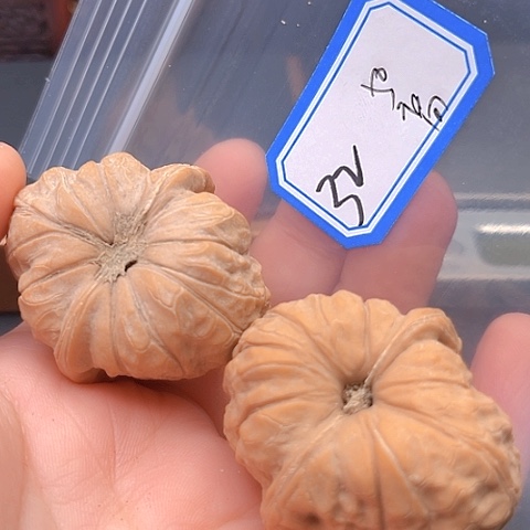 文玩核桃吊坠高**水南瓜