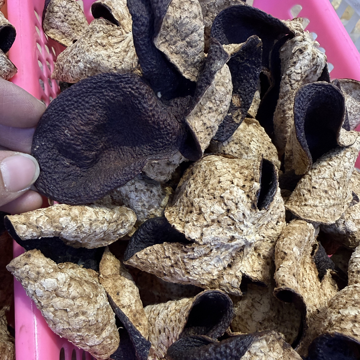 【2019新会天马圈枝冬后大红】口感清甜醇厚