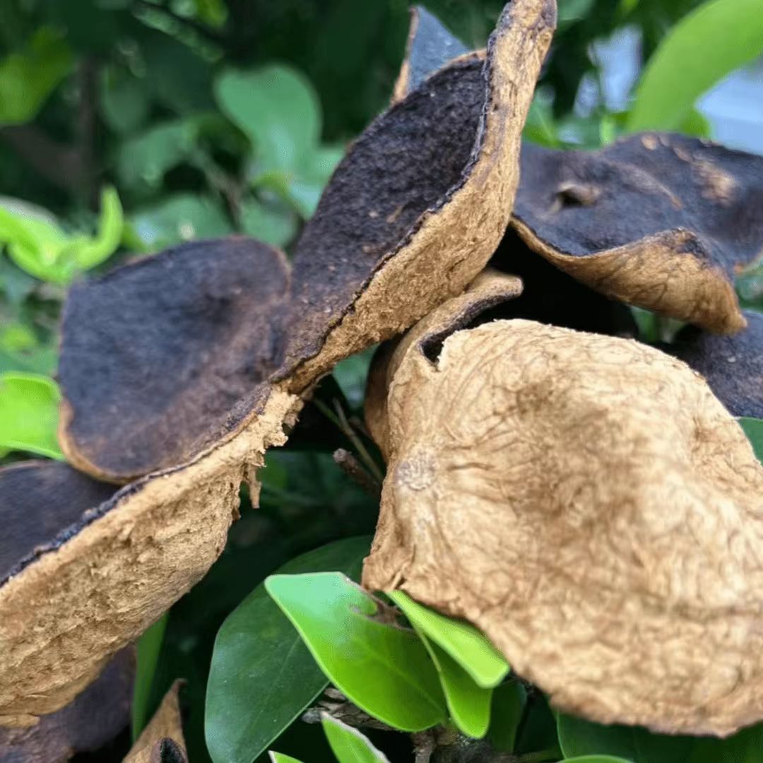 【阿海精选】土特产陈皮