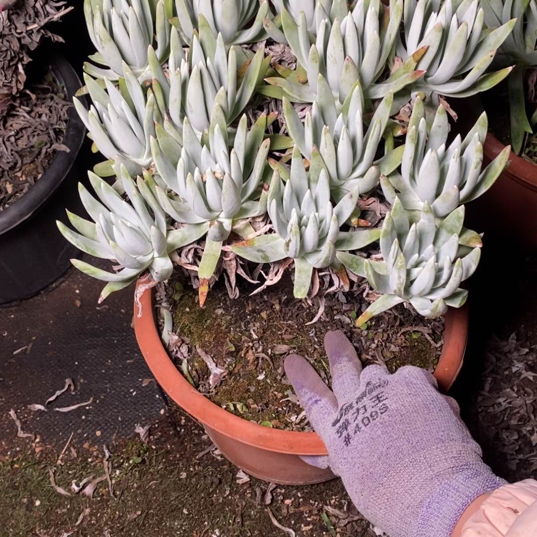 2128花哈哈哈哈哈哈哈哈哈哈哈哈