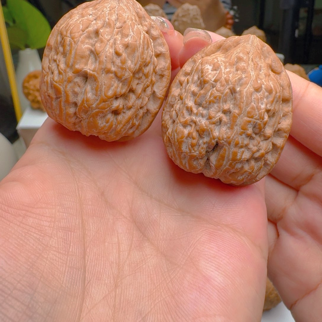 把件核桃35尺寸金钱豹