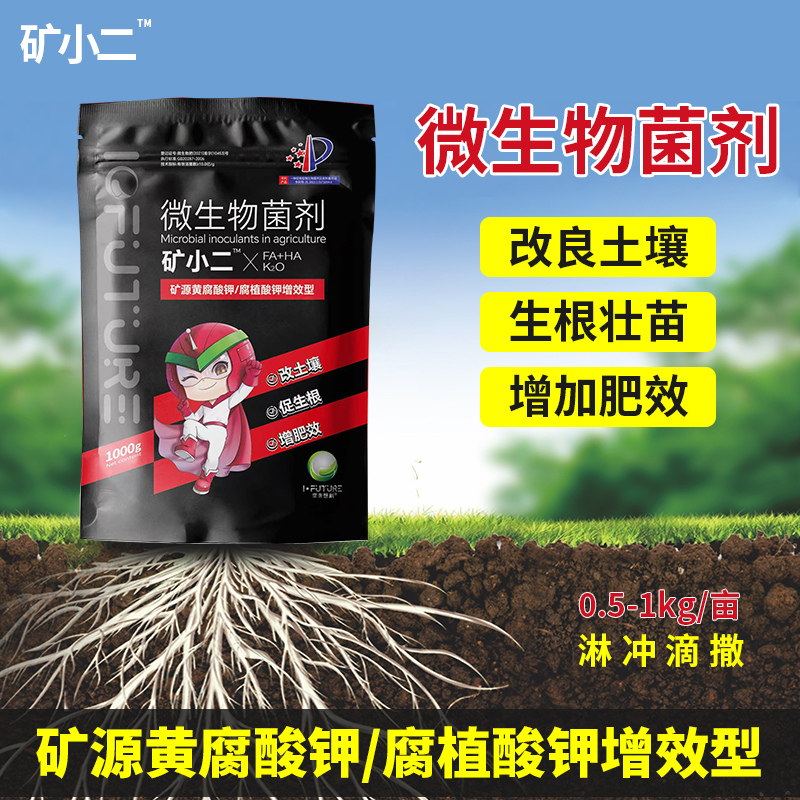 矿小二矿源黄腐酸钾柑橘芒果辣椒茄子空心菜白菜改良土壤生根壮苗