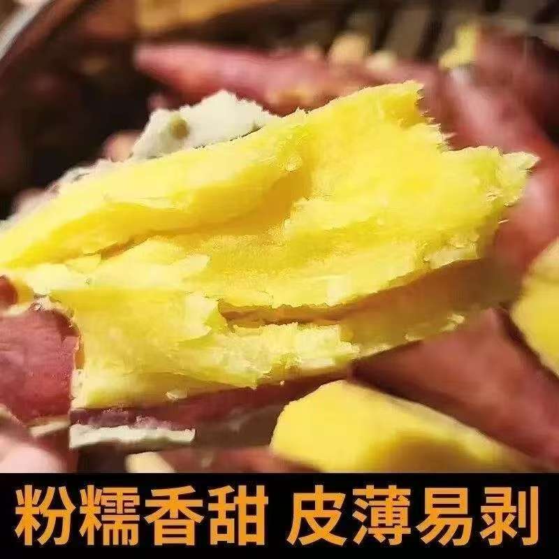 陕西临潼板栗红薯新鲜粉糯甘甜沙地番薯粗粮ms