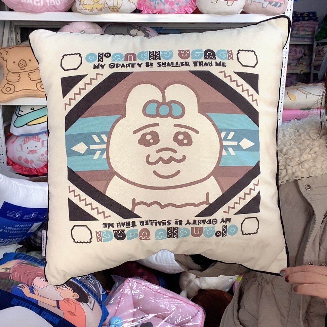 兔兔子抱枕一个。  