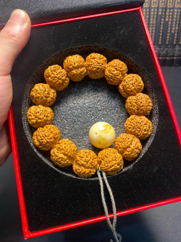 新品蜂窝五爪梅花（9号）