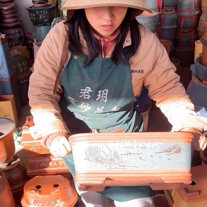紫砂花盆盆栽花卉苗木种植