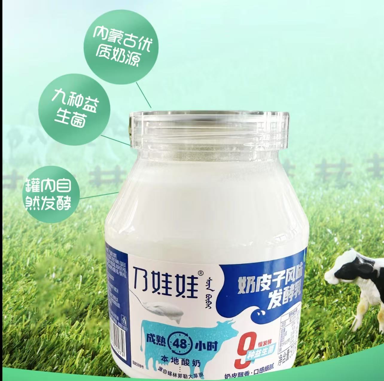 乃娃娃奶皮子风味发酵乳