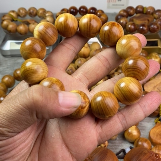 柏木（崖柏）崖柏2.0