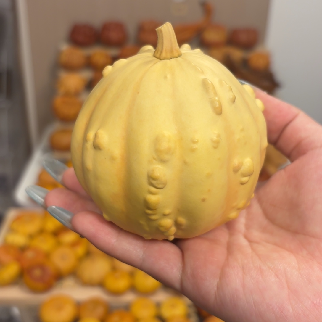双色西瓜球（有黑线）