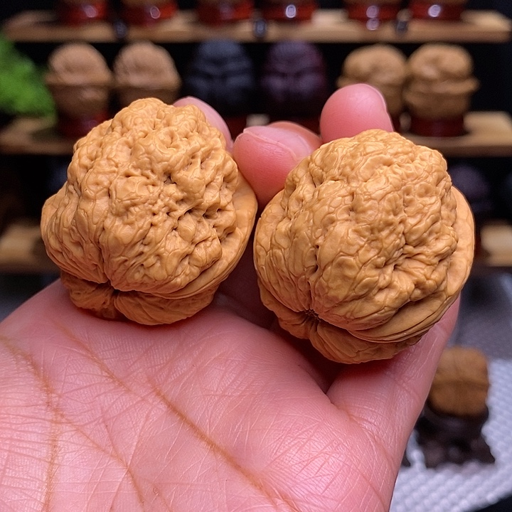 文玩核桃把件帝王蝉26