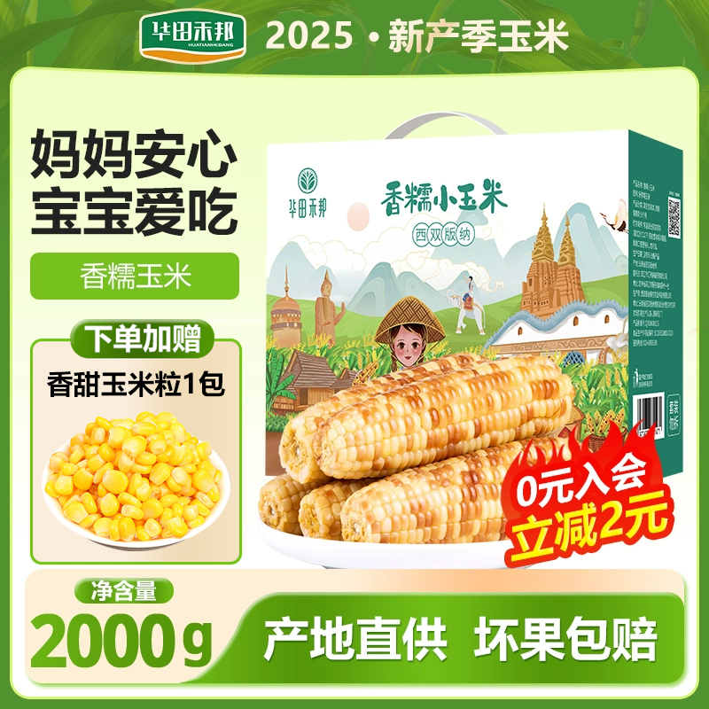 【12月新采摘】云南花糯玉米西双版纳香糯玉米华田禾邦真空包装早餐