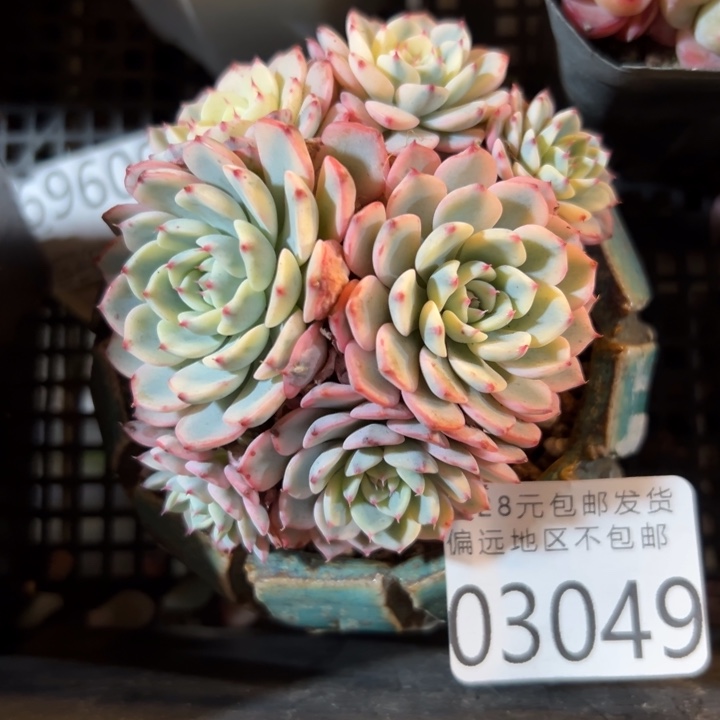 幸运的是你还没遇到你喜欢