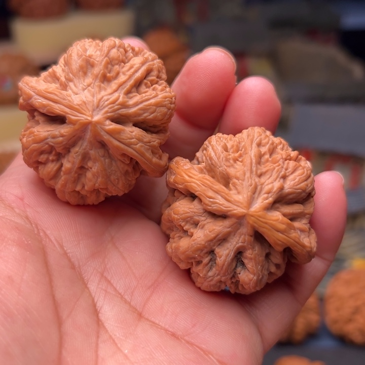 核桃41大粗筋大粗筋