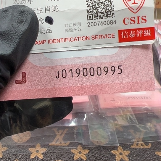 J019000995单张简易封装蛇