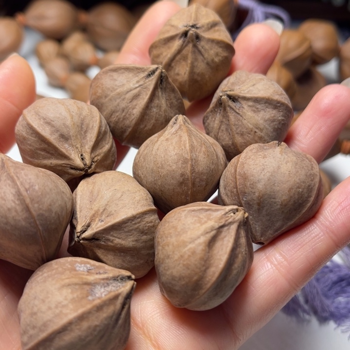 比***点橄榄核手串/手链2.9