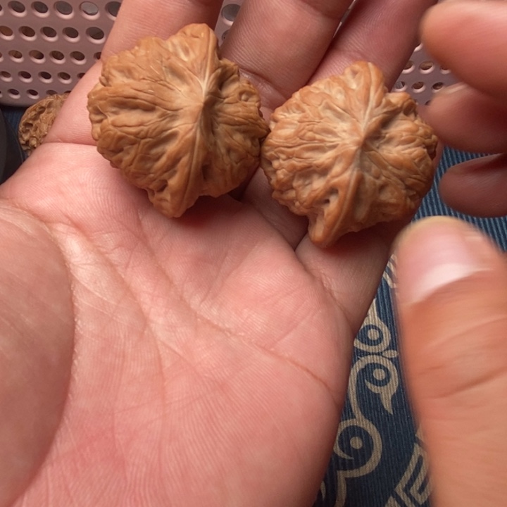 核桃全品小众战鼓38尺寸