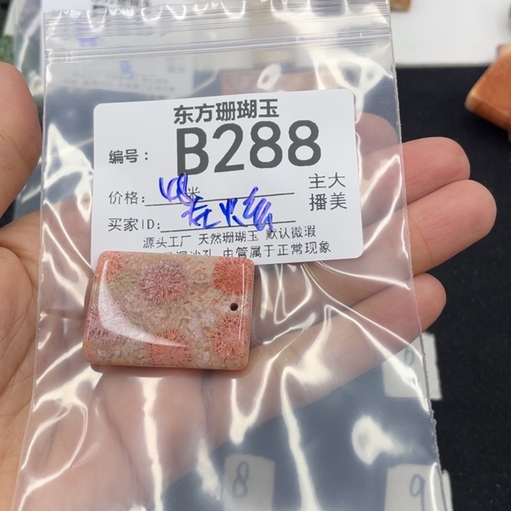 硅化珊瑚（珊瑚玉）颈饰合金在****果