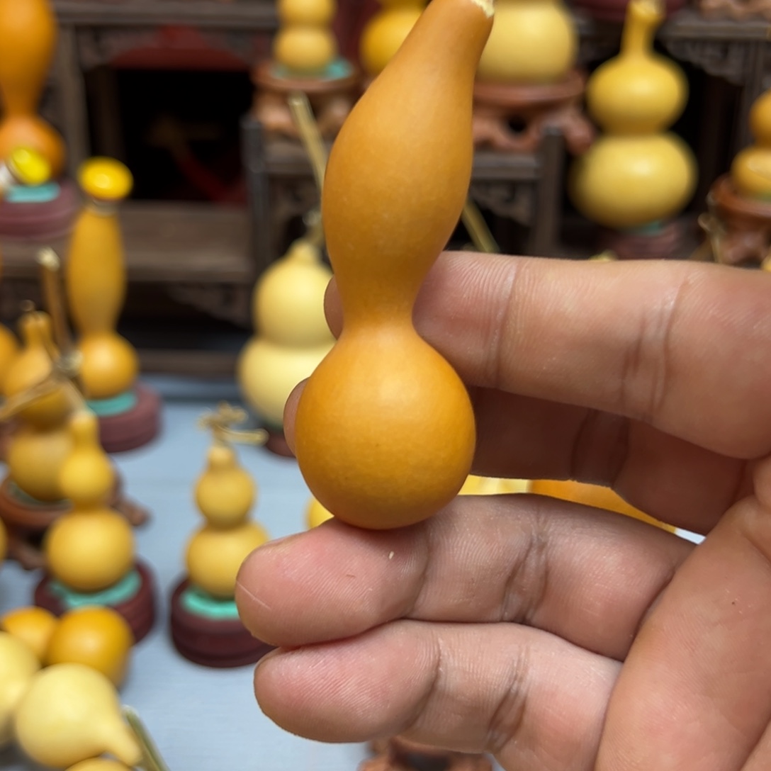 無***藤木我的小可爱，一点也不像个女孩