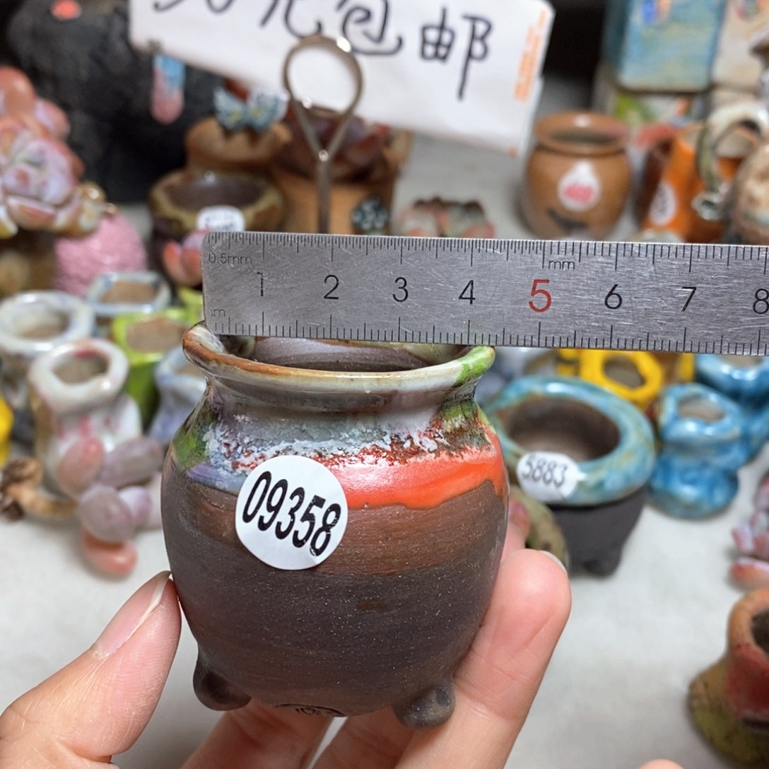 拍5送一个小礼物