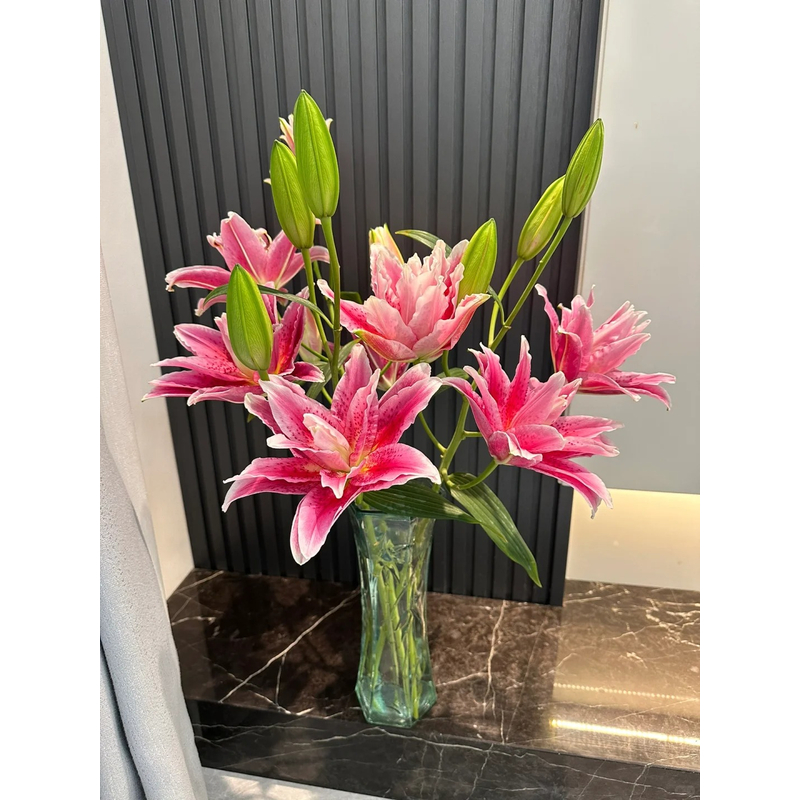 【达琳达】重瓣香水百合一单包邮云南鲜花昆明基地现采现发