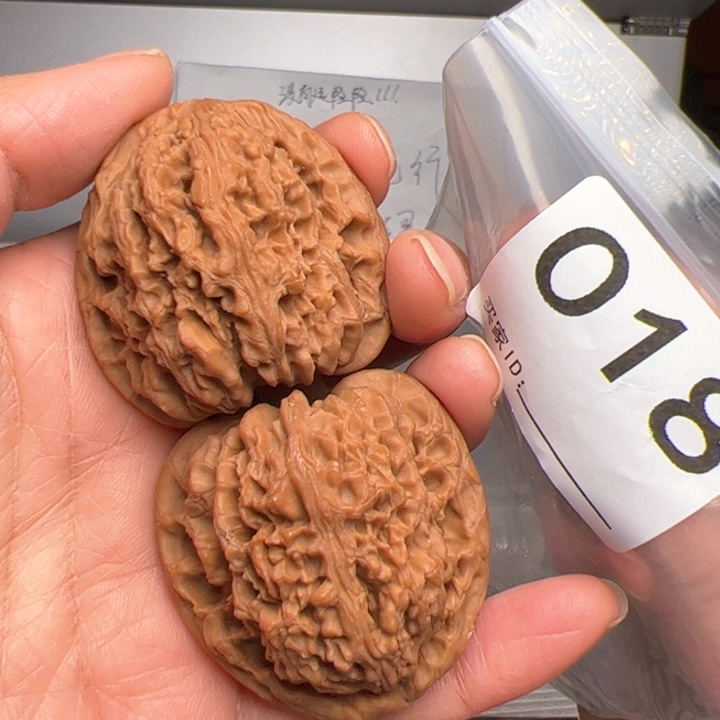 核桃南疆石43尺54.7克018号