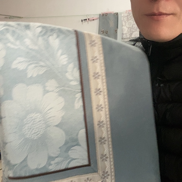 朱***鹅绒90蓝的沙发垫布艺坐垫