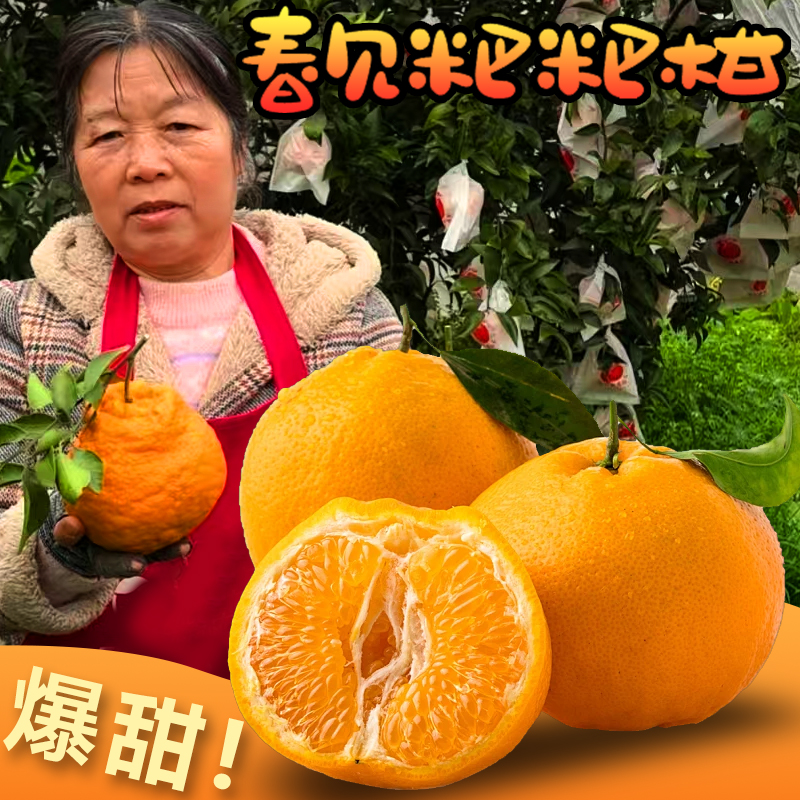 【顺丰/京东特快发货】四川春见耙耙柑正宗四川眉山耙耙柑新鲜
