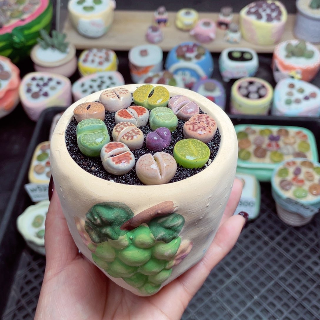 w5303 -零下地区拍保温箱-15支持寄养