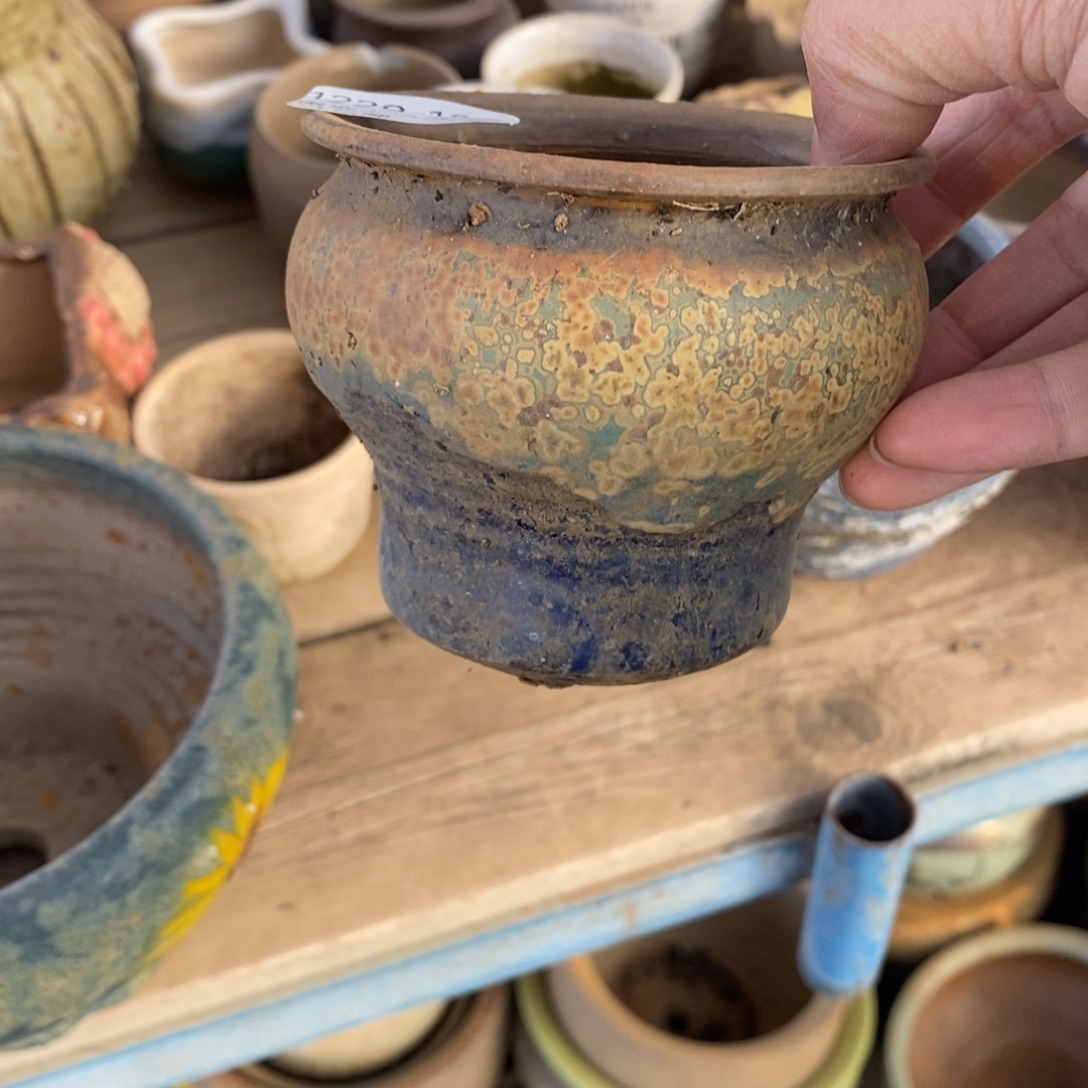 103号多肉盆口径7