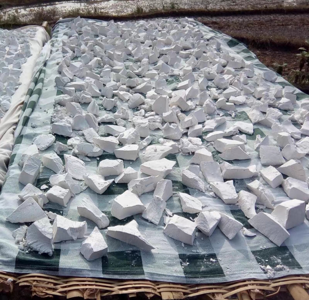 农民自种红薯淀粉